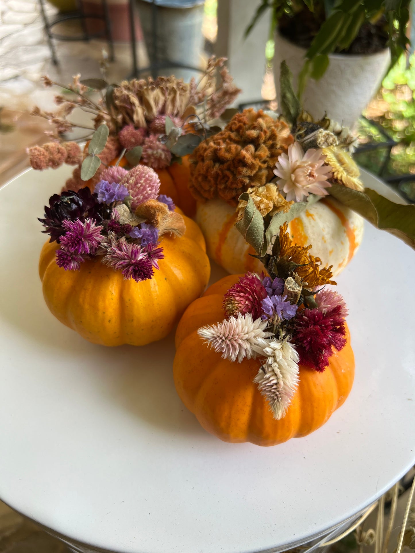 Dried Floral Pumpkin